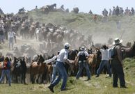 La bajada de las bestas es uno de los apartados. 