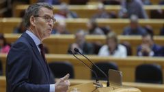 Alberto N��ez Feijoo durante el pleno celebrado este lunes en el Senado