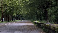 Paseo fluvial del Mio vaco.