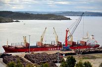 En la fotograf�a, vista de una operaci�n con madera en el puerto exterior. 