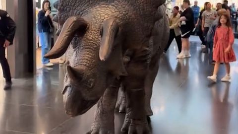 Imagen de uno de los dinosaurios que pueden verse en Marineda