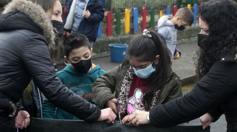 Das profesoras axudan a uns estudantes a cortar con tesoiras a tea plstica que protexer das malas herbas o espazo dos amorodos