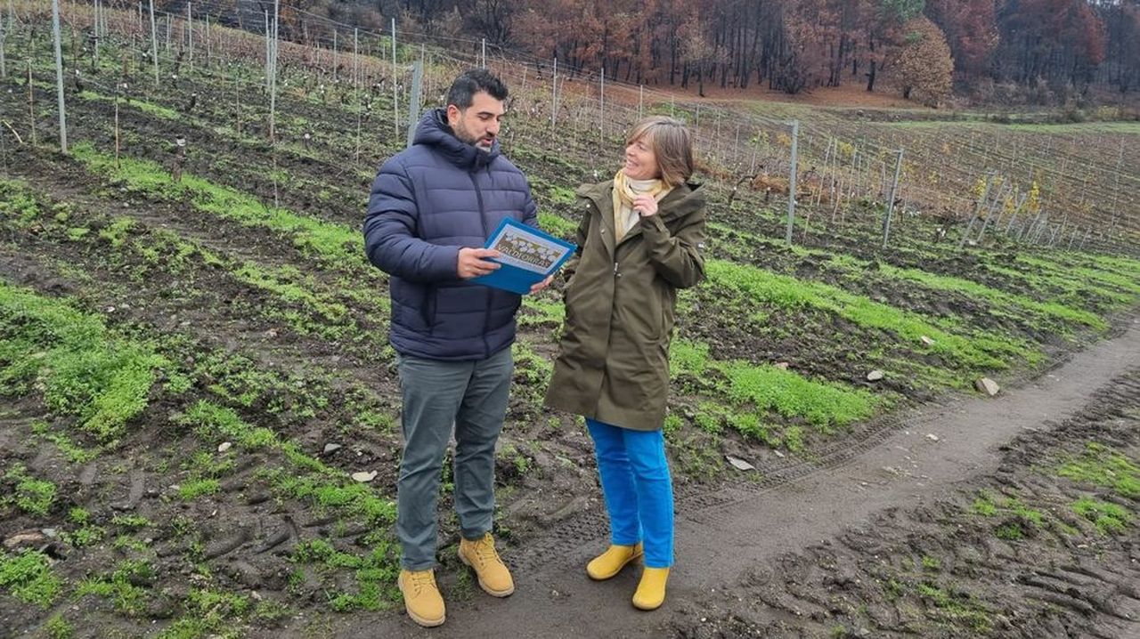 Los vinos de Valdeorras lucirán el sello europeo Fire Wine por su papel como cortafuegos