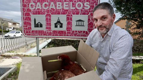 El redactor de La Voz Xos Mara Palacios, tras haber comprado las gallinas en El Bierzo
