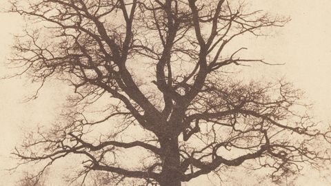 Detalle de la ilustraci�n de la portada del libro de Zagajewski �Una leve exageraci�n�