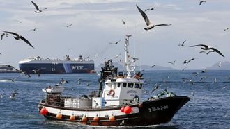 Gaviotas siguen a un pesquero artesanal en la r�a de Vigo, con un mercante al fondo (foto de archivo).