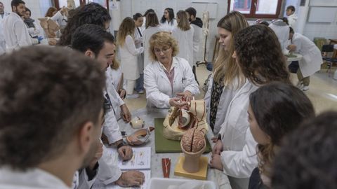 Foto de archivo de los alumnos de Medicina en la USC