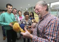 Clasificaci�n de las setas de Lumieira, en el F�rum carball�s. 