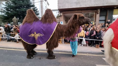 Cabalgata de Reyes en Pontevedra 