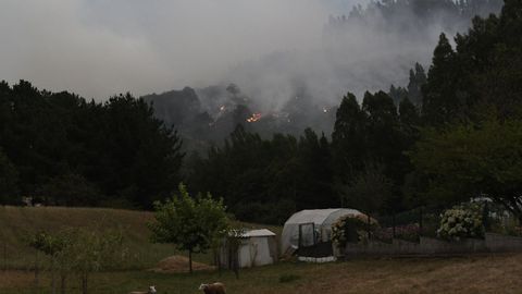 Incendio en una nave de pollos de Castro de Rei.