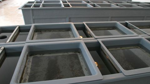 Instalaciones de una piscifactor�a gallega