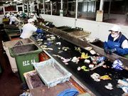 Los residuos de los noieses van a parar actualmente a Servia.