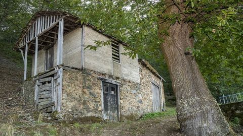 Un edificio que sirvi� a la vez como bodega y palleira 