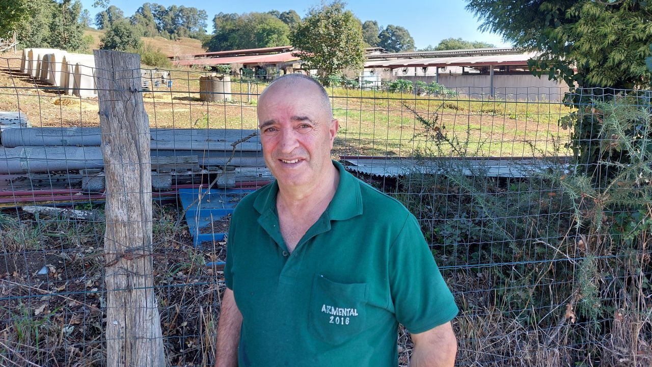 Un vecino de Vilasantar vive junto a 350 vacas: «O cheiro é insoportable»