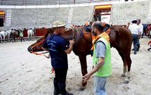 Los jinetes fueron llegando a la plaza de toros de Pontevedra donde pasaban la noche de ayer.
