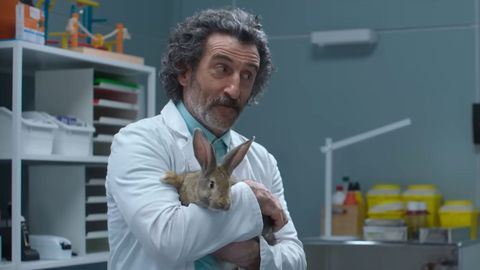 Luis Zahera, en una escena de Animal