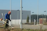 El pol�gono de Begonte tiene cubiertas el 60% de sus parcelas.