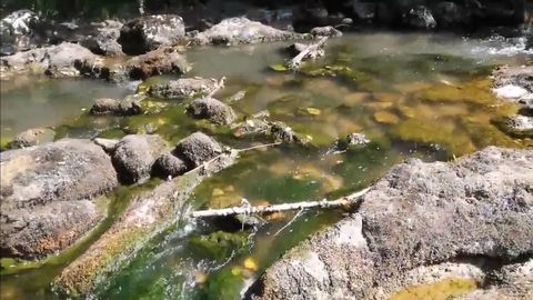 Imagen del vertido en el Sella, extra�da del v�deo compartido por Kike Soto