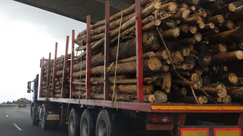 Decenas de camiones circulan a diario por las carreteras de A Maria cargados de madera