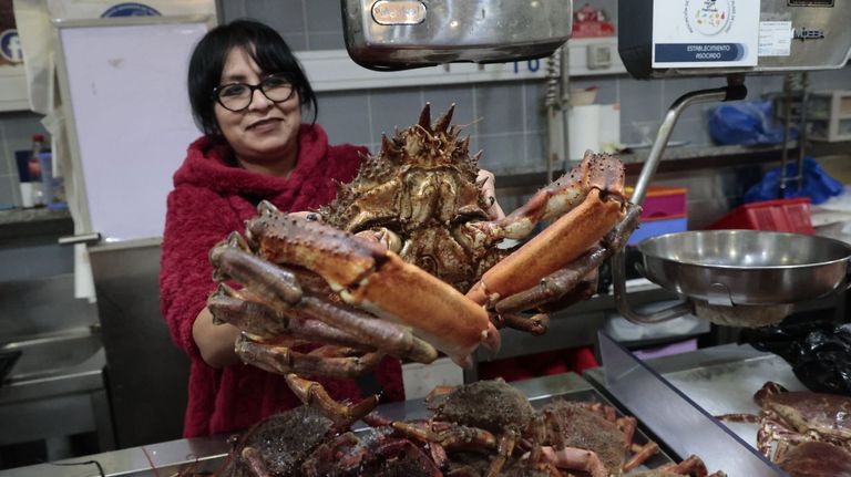 El marisco llena los mostradores de la plaza de Lugo