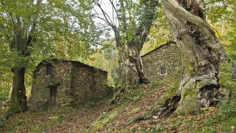 Os sequeiros de castaas son moi tpicos da arquitectura local. Na imaxe, conxunto de sequeiros en Castro Portela