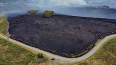 La huella de los incendios se deja sentir en el paisaje pont�s.