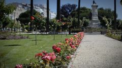rosas