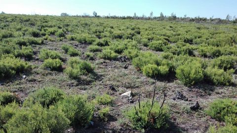 Trabajos de control de la vegetacin en Rao (Navia de Suarna).