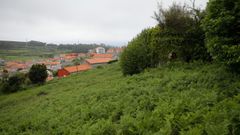 Entorno de la fraga de Suevos con el viejo palomar cubierto de maleza