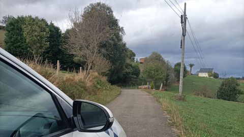 El viento desprendi� un cable de la�l�nea�telef�nica�en un punto entre Casas Novas y Frieira a vella, en la parroquia ribadense de Ove