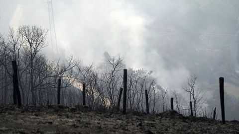  Zona quemada en las proximidades del Santuario de la Virgen del Acebo