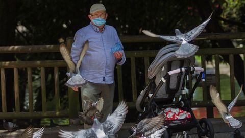 Un hombre da de comer a las palomas en un parque de Oviedo