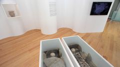 Las im�genes del nuevo museo de Mitra