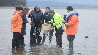 A conselleira do Mar Marta Villaverde acode a un muestreo de marisco en O Grove