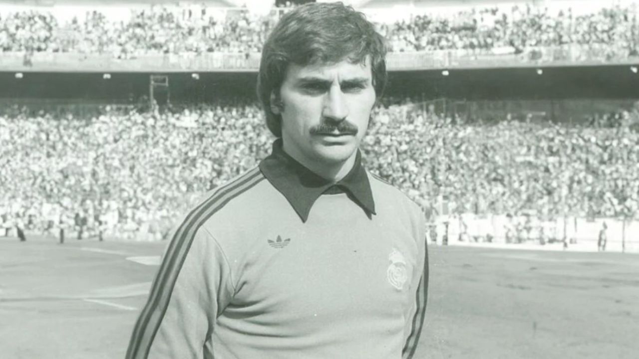Miguel Ángel, el gato con ventosas