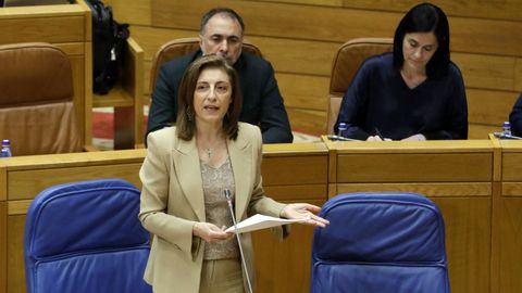 La conselleira de Medioambiente e Cambio Climtico, ngeles Vzquez, en el Parlamento.