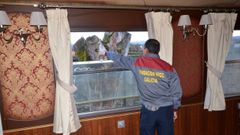 Un trabajador del museo se�ala desde un antiguo vag�n uno de los nidos de p�jaro carpintero que hay en los �rboles del recinto muse�stico y que fueron puestos al descubierto en una reciente poda 