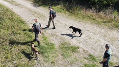 Agentes de la Guardia Civil, buscando al vecino desaparecidohace casi un ao.