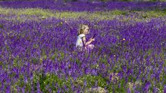 El anticicl�n deja temperaturas de hasta 25 grados en Galicia