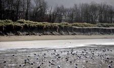El talud formado en la playa cedeiresa de A Magdalena es cada vez m�s pronunciado.