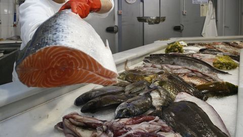 En primer plano, un salm�n de granja y, a la derecha, el �ltimo de los pescados es merluza salvaje.
