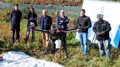 El dron vuela contra la velutina