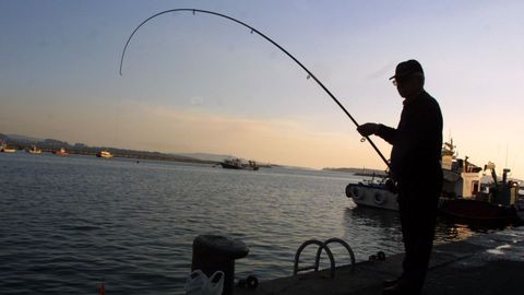 Desde el 7 de agosto los pescadores recreativos deben cumplir normas nuevas y contar con seguro si quieren lanzar las cañas en los muelles