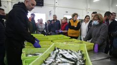 Subasta de sardina para San Xon en la lonja