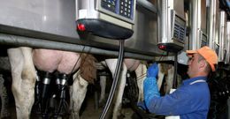 El sector productor est� operando con precios cr�ticos que ademas no tocaron fondo todav�a. 