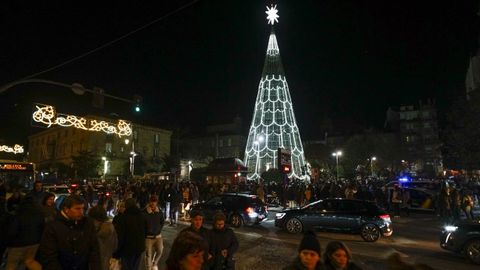 Segn los pliegos, el rbol de Navidad gigante repetir ubicacin en Bispo Cesreo.