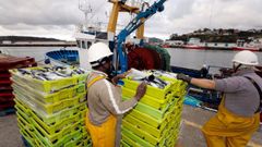 Para la flota que contine en activo, como este arrastrero de litoral de Celeiro que descarga xarda, Cepesca demanda apoyo por la cada de precios