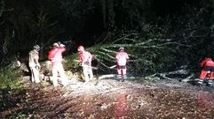 Efectivos de seguridad ferrolanos trabajando de noche tras la ca�da de un �rbol.