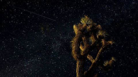 Perseidas