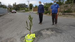 Un bache de Santiago se se�aliza con un �rbol